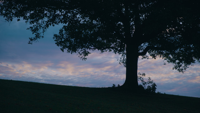 Steffany Gretzinger - From the rising of the sun... (Visualizer)