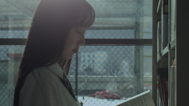 赵智行 - 心系书简