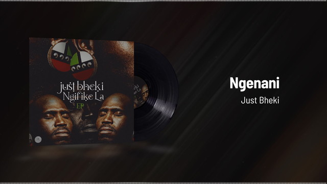 Just Bheki - Ngenani (Visualizer)