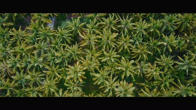 Møme - When We Ride