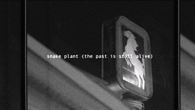 Hurray for the Riff Raff - Snake Plant (Lyric Video|The Past Is Still Alive)
