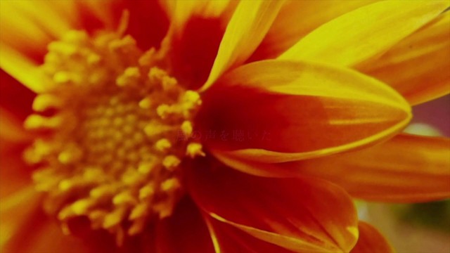 atsuki - 風の声(feat. Mew & CYBER DIVA)