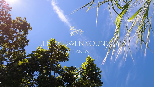 Jenny Owen Youngs - skylands (Audio)