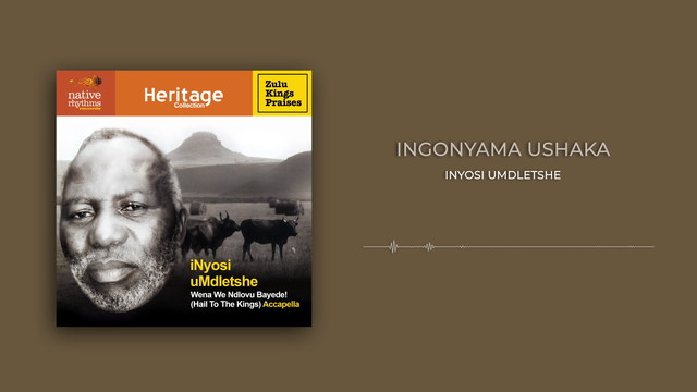 iNyosi uMdletshe - iNgonyama uShaka (Visualizer)