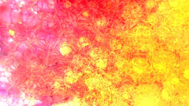 Exportion - Lull in the rain