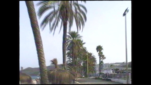 Airwolf Paradise - Don't Hurt Me Baby (DIY Music Video)