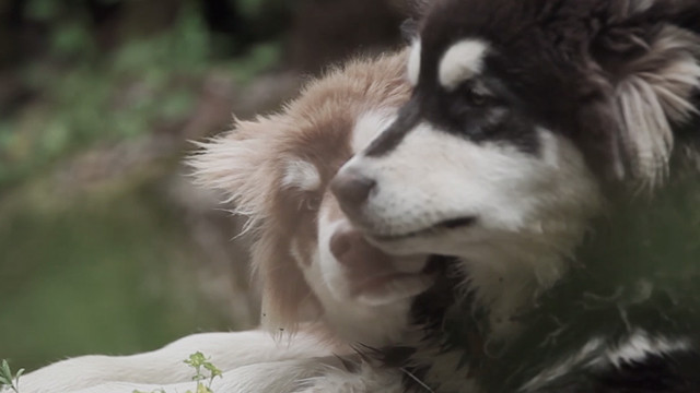 孟晓辉 - 有聚无散