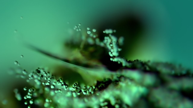 ANNA - Let You In (Visualiser)