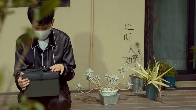 孙子涵 - 还听人劝