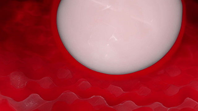 The White Stripes - I Just Don't Know What to Do With Myself (Visualizer)