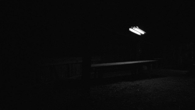 Ethel Cain - Vacillator