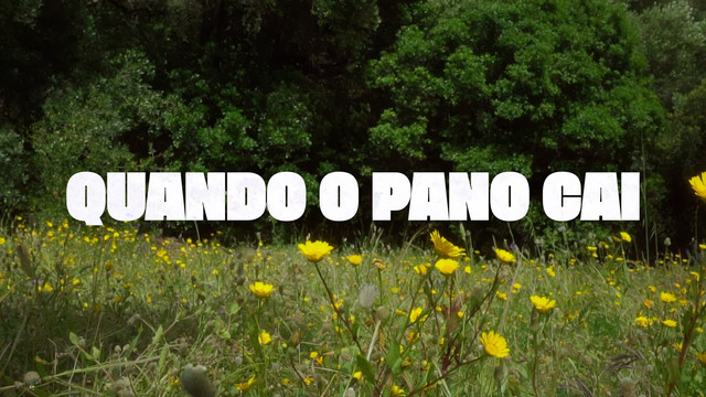 João Mesquita - Quando o Pano Cai