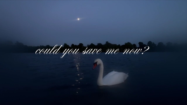 Wisp - Save me now (Lyric Video)