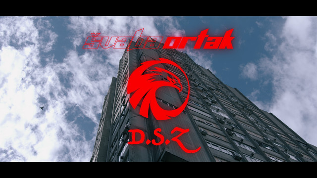 Svaba Ortak - D.S.Z.