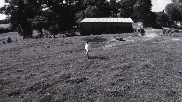 Dylan Marlowe - Mid-Twenties Crisis (Official Visualizer)