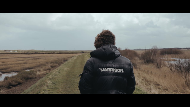 Harrison - Don't Look Back