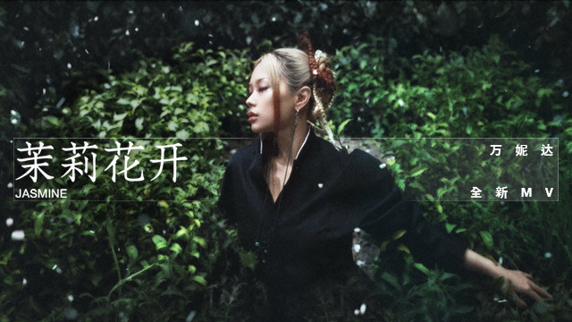 万妮达Vinida Weng - 茉莉花开