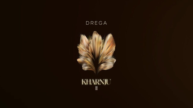 Drega - Save Your Tears (Visualizer)