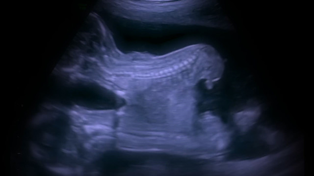 Paris Texas - They Left Me With The Sword