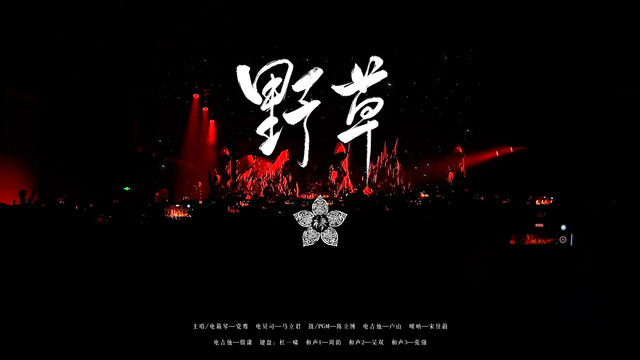 椿乐队 - 野草 (Live)