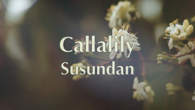 Callalily - Susundan (歌词版)