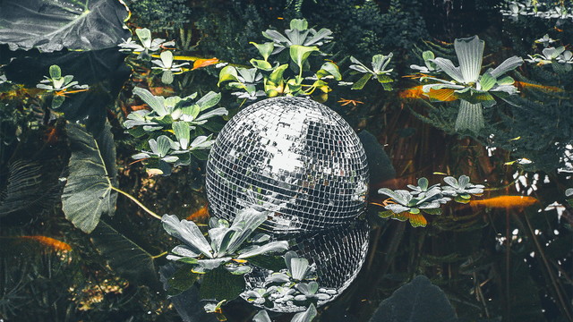 Beata Kozidrak - Frajer (Official Audio)