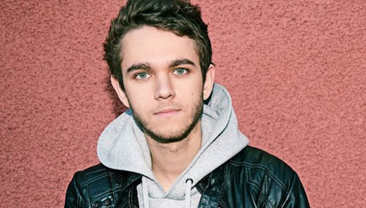 Zedd - Spectrum