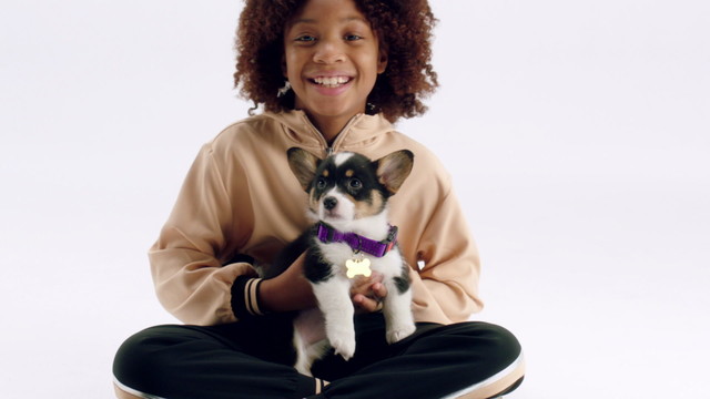 Daveed Diggs - Puppy for Hanukkah