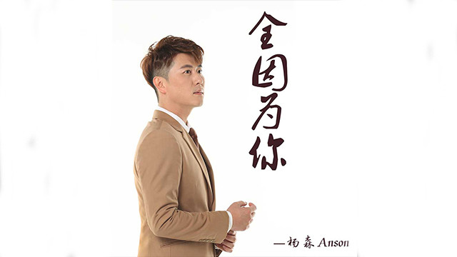 杨森Anson - 全因为你