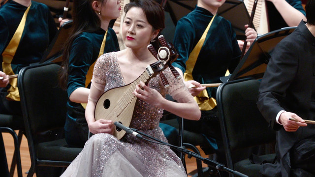 张列 - 雨后庭院 (柳琴协奏曲Live)