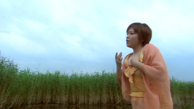 夏川里美 - 鳥よ