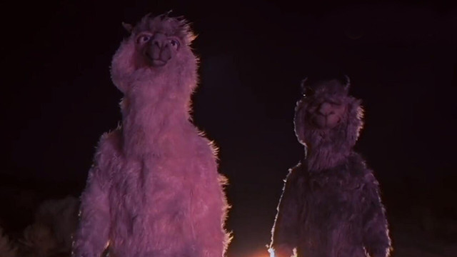 Fall Out Boy - The Last Of The Real Ones