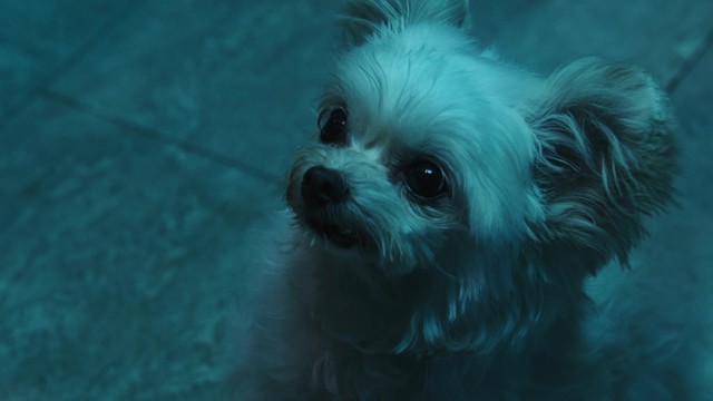 yusuke - Little Family