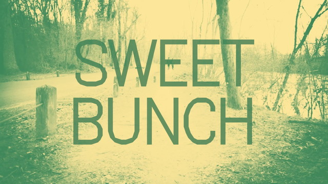 Andy Jenkins - Sweet Bunch