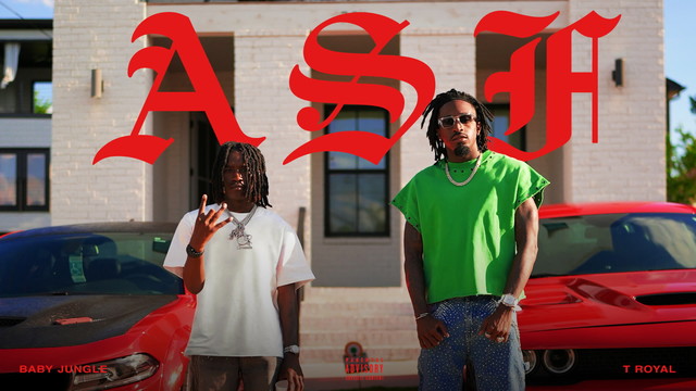 Baby Jungle - ASF (Official Audio)
