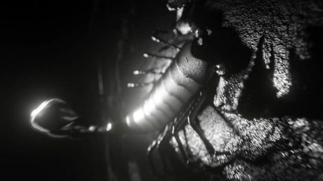 8blevrai - Lacrime del diavolo (Visual Video)