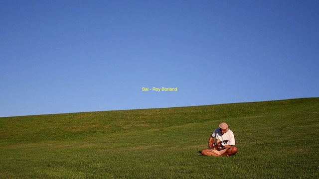 Roy Borland - Sal (Acústico)