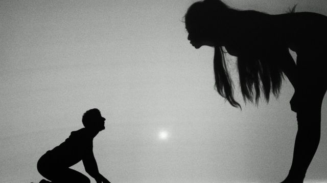 Albo Inaczej - Ostatnia Prosta