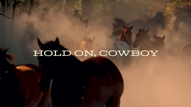 Brian Kelley - Hold On, Cowboy (Lyric Video)