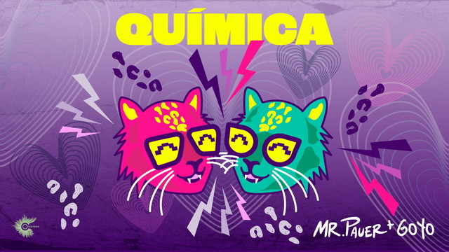 Mr. Pauer - Química