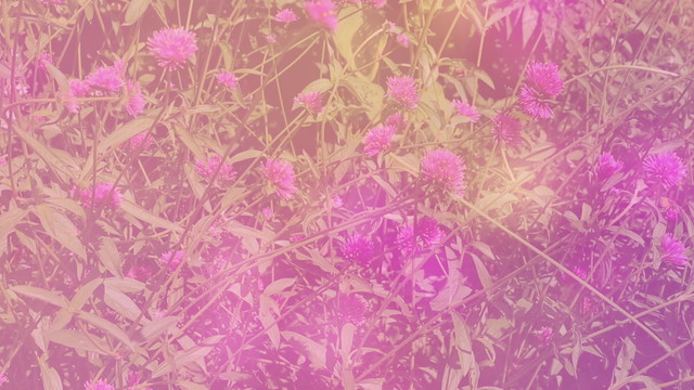 Chad Lawson - Lawson: the color of the sky (Visualizer)