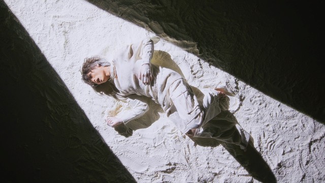 오웰무드 - Vanishing Cats