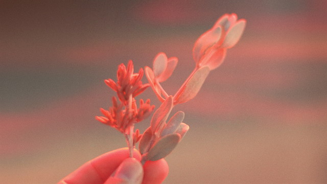 Lara Somogyi - Merry Christmas, Mr. Lawrence (Visualiser)