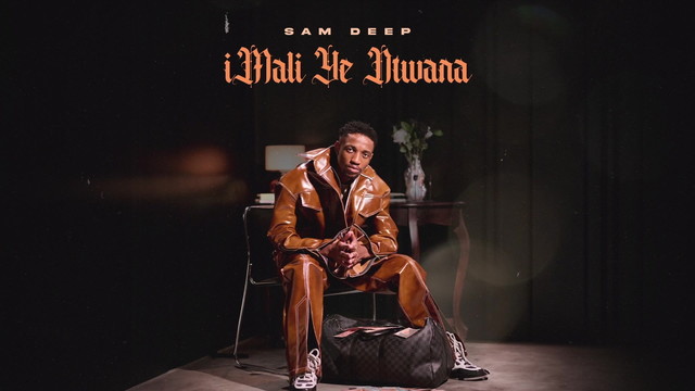 Sam Deep - iMALI YE NTWANA (Visualizer)