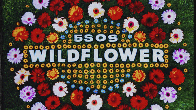 5 Seconds Of Summer - Wildflower