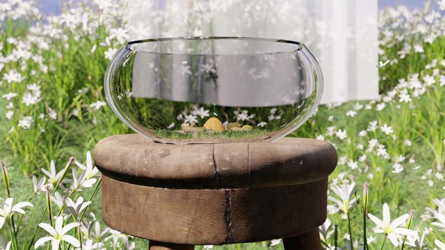 박상훈 - 봄에 피는 꿈 (Dream blooms in spring)