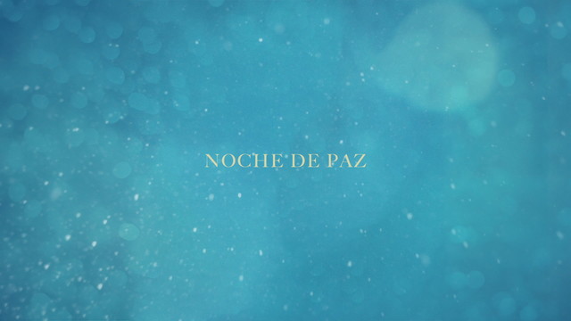 Danny Gokey - Noche De Paz (Lyric Video)