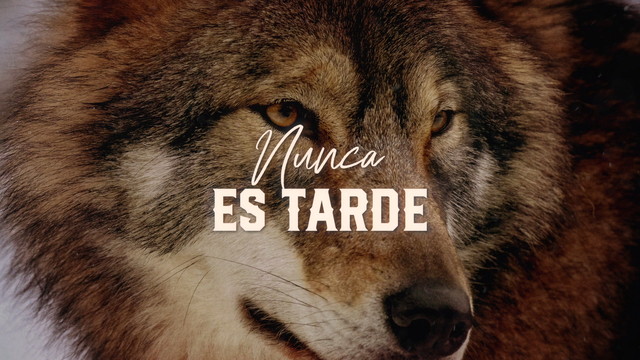 Los Temerarios - Nunca Es Tarde (LETRA)