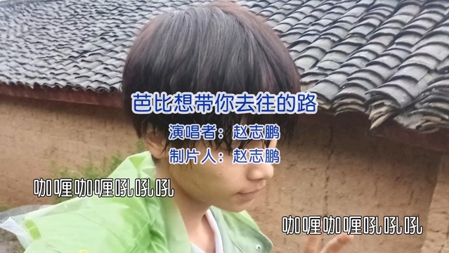 赵志鹏 - 芭比想带你去往的路 (KTV版)