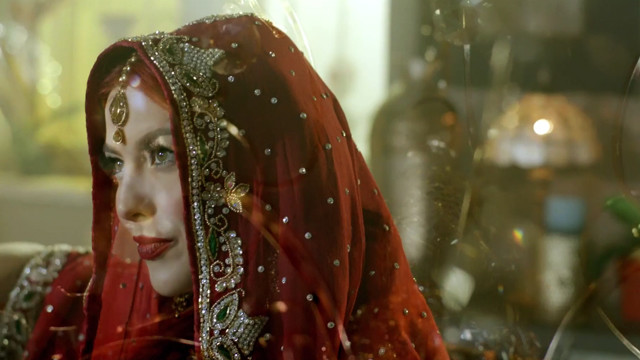 DJ Valdi - Hot Bhangra